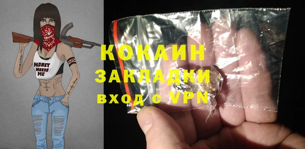 спиды Болотное