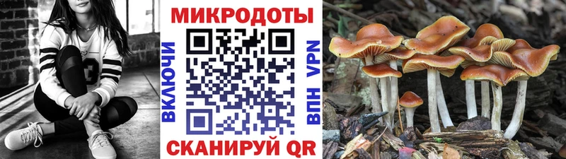 Галлюциногенные грибы мухоморы  shop как зайти  Агрыз 